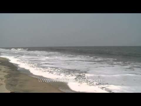 Time lapse of tides at Cherai beach