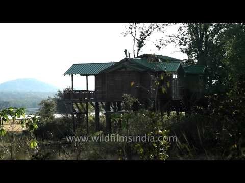 Denwa Backwater Escape Resort at Satpura, Madhya Pradesh