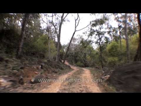 Wilderness tour at Satpura National Park