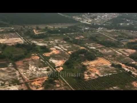 Mosque and palm plantations : aerial footage from Malaysia