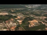 Mosque and palm plantations : aerial footage from Malaysia