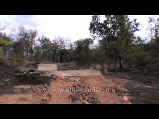 Driving along the bumpy roads - Satpura National Park