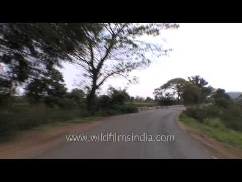 Road trip from Kanha to Jabalpur - Madhya Pradesh