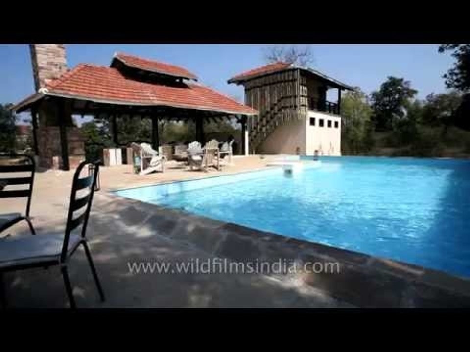 Swimming pool area at Denwa backwater escape, Satpura