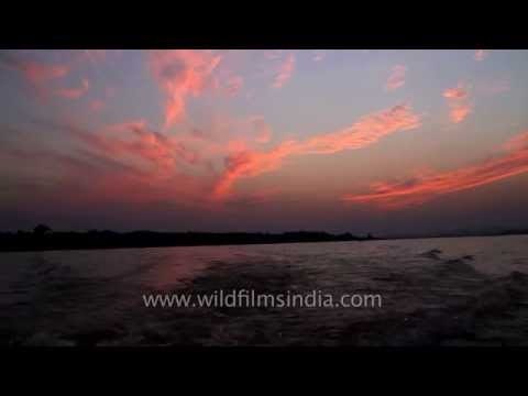 Reddish sunset sky in Satpura National Park, Madhya Pradesh