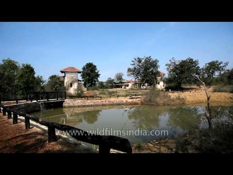 View of cottage inside the Satpura Denwa backwater escape