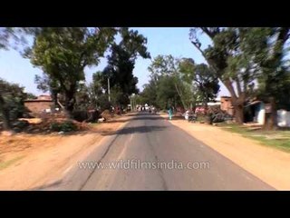 Travelling to Kanha from Jabalpur by road