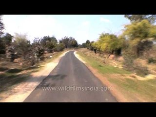Travelling through the roads of Mandla town, Kanha
