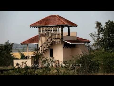 Luxury cottages of Denwa Backwater Escape, Madhya Pradesh
