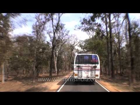 Driving from Kanha to Jabalpur in Madhya Pradesh