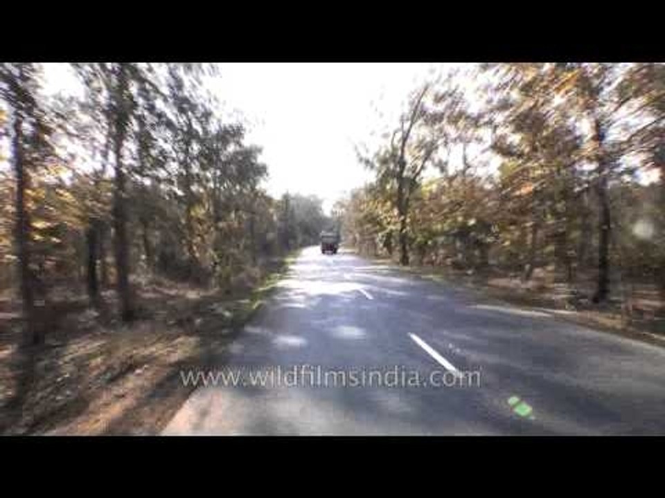 Driving towards Kanha - Madhya Pradesh