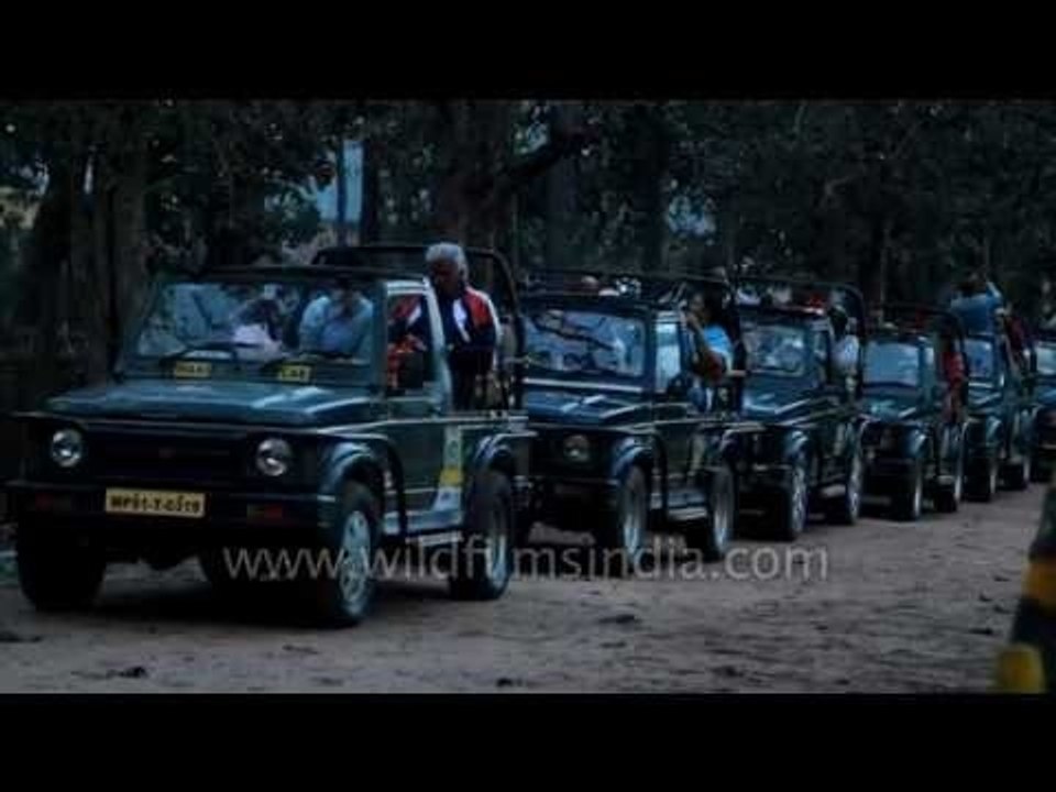 Visitors in Jeeps waiting to enter Kanha National Park