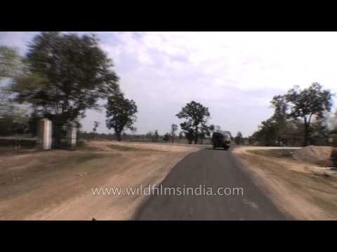 Road trip from Kanha to Jabalpur, Madhya Pradesh