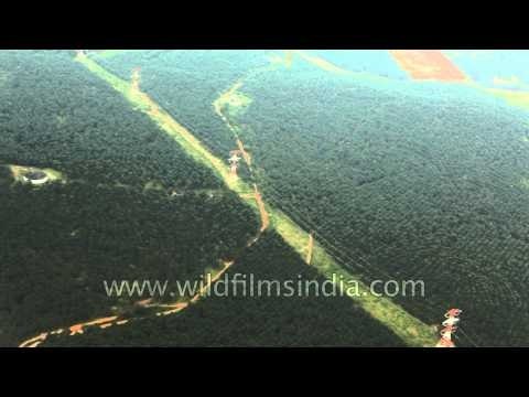 Power lines crossing through South-east Asian rain forest