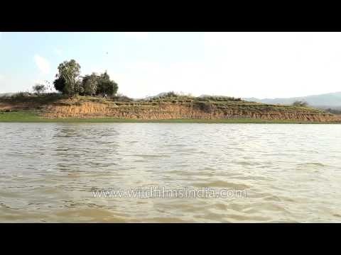 Sailing on Denwa river to reach Satpura Natioinal Park