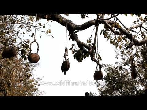 Welcome area of Kanha Earth Lodge, Madhya Pradesh