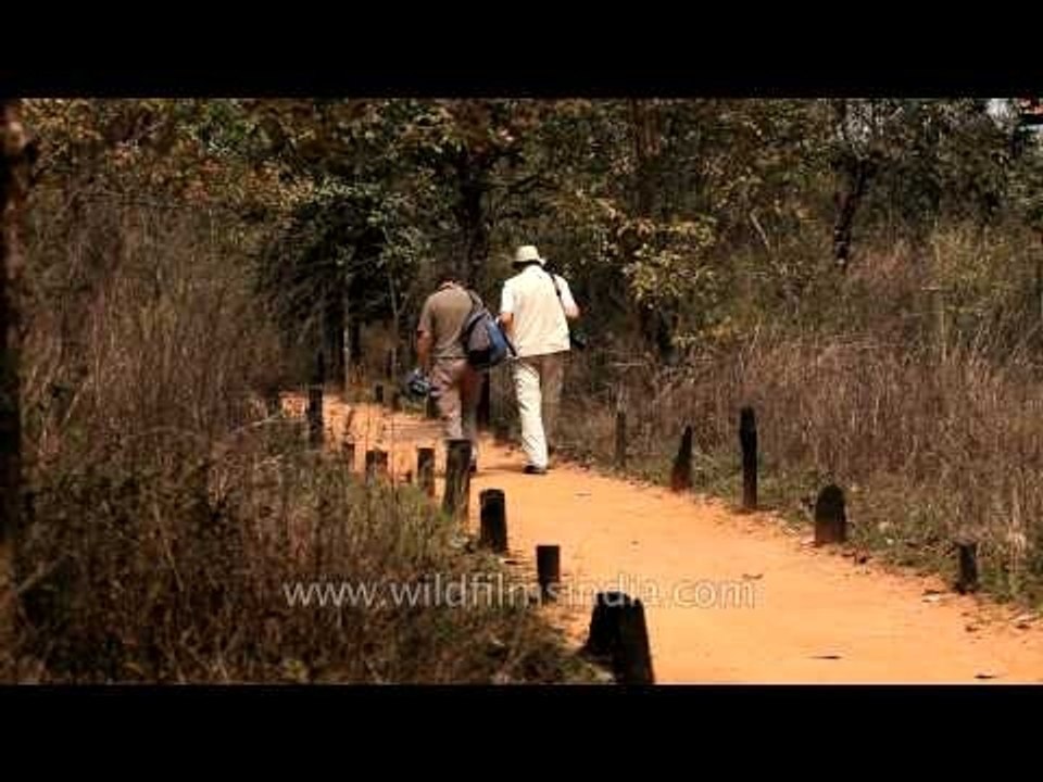 Guests arriving at Kanha Earth Lodge after jungle safari