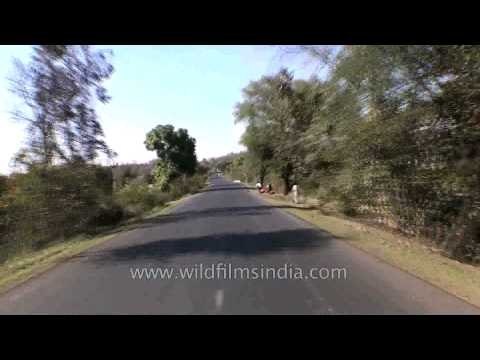 Way back from Jabalpur to Kanha