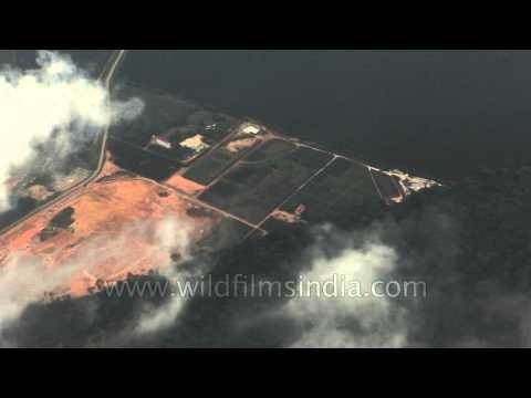 Aerial footage of palm plantations in Malaysia