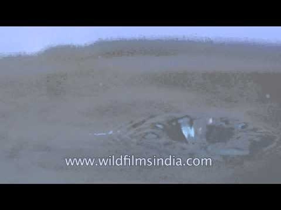 Water Slow Motion 2