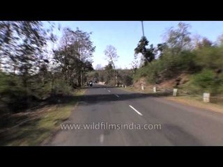 On the way to Kanha National park