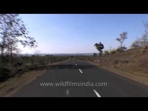 Travelling through the landscape of Bamhani, Madhya Pradesh