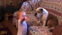 Cet adorable bébé est en pleine dispute... avec un chien !