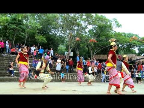 Nepali dance performed at Anthurium festival