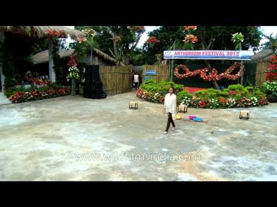 Fashion shows: Regular feature of Anthurium festival