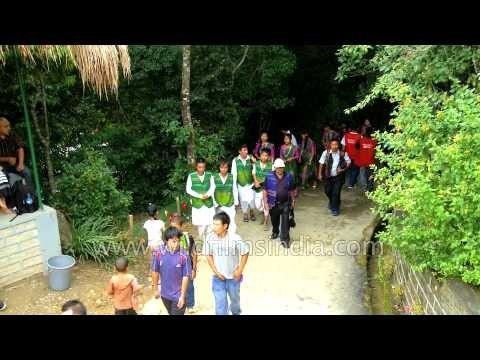 Visitors at the Anthurium Festival