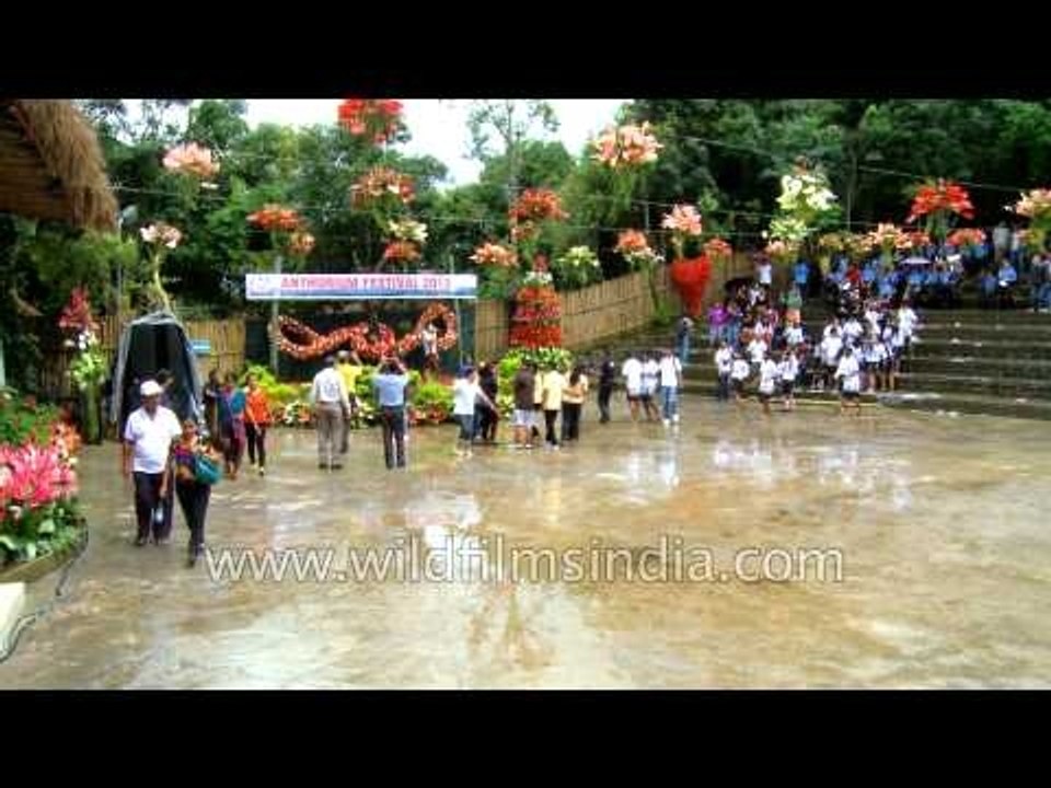 Crowd having fun at the Anthurium Festival - Aizwal