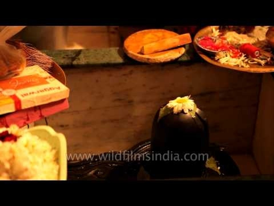 Pandits chanting mantras on the pious day of Shivratri