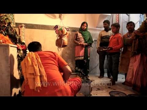Devotees taking blessing from Lord Jagannath