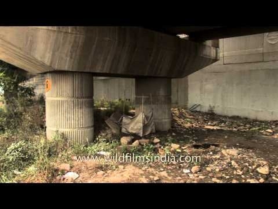 School under metro bridge - Time lapse