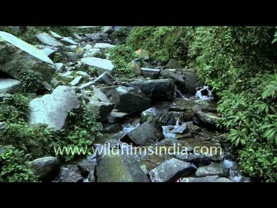 Sadu Chiru waterfall streaming down over rocks