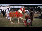 Horse dancing to the rhythm of dhol