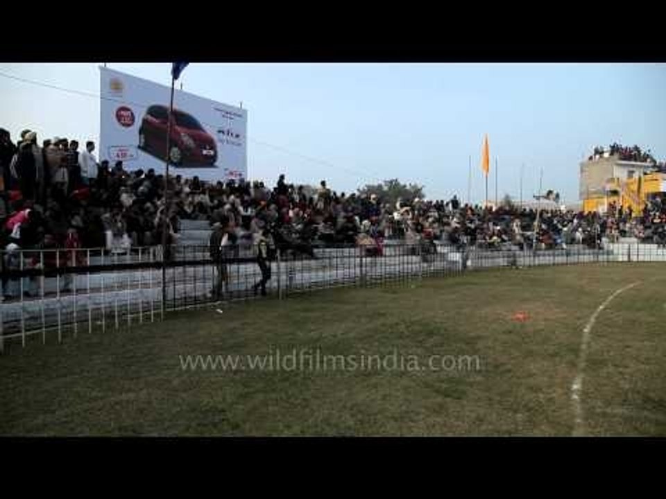 Fast & Furious: Bullock cart race in Kila Raipur