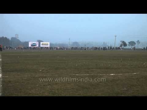 Bullock cart race underway at Indian Rural Olympics