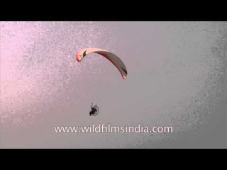 Paragliding at Rural games- Ludhiana