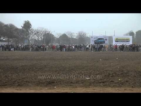 Racing with all their might: Bullock cart race at Rural Olympics