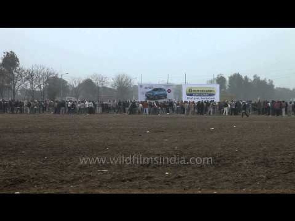 Bullock cart race: Most watched events at Kila Raipur Olympics