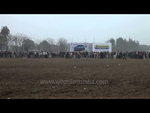 Bullock cart race: Most watched events at Kila Raipur Olympics