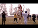 Beautifully decorated horse dances to impress people