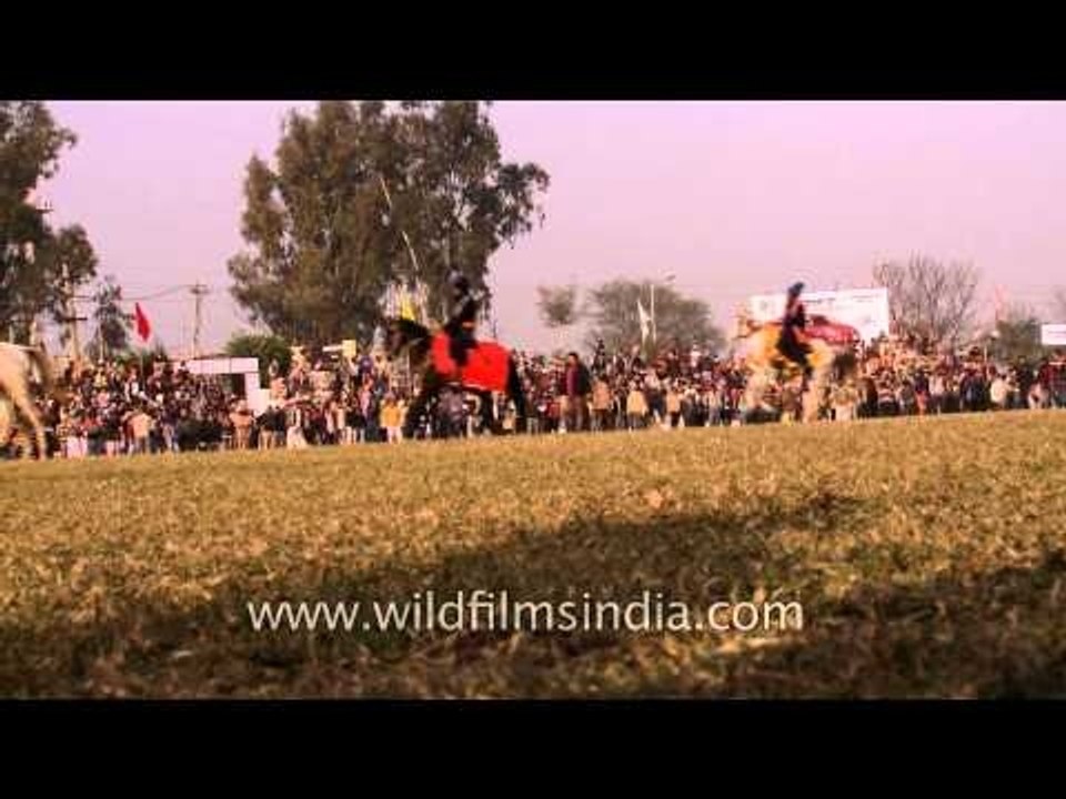 Sikh warriors mounted on horse at Kila Raipur in Punjab
