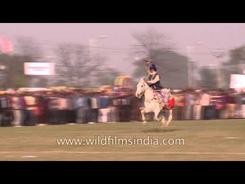 Nihang Sikh exhibiting the skills of tent pegging