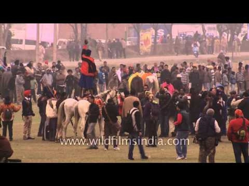Nihang Sikh warriors riding three horse in Kila Raipur
