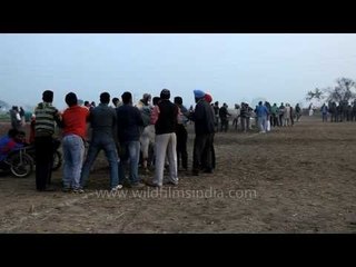 Bull cart race - the most exciting and thrilling sport of Punjab