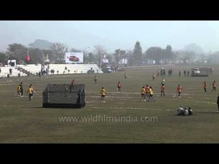 Women hockey players in action