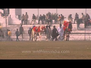 Horse and camel gets ready to dance: Kila Raipur