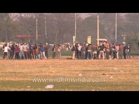 Punjab Rural Olympics kicks off with bullock cart race